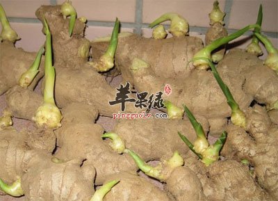 晚上为什么不能吃生姜