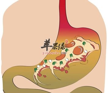胃部