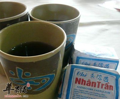 茵陈茶
