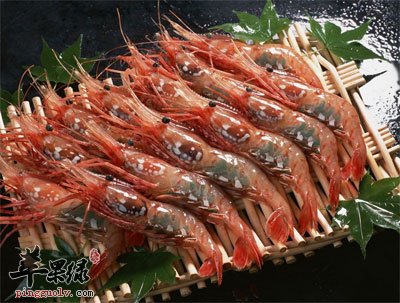 虾