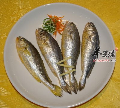 小黄鱼