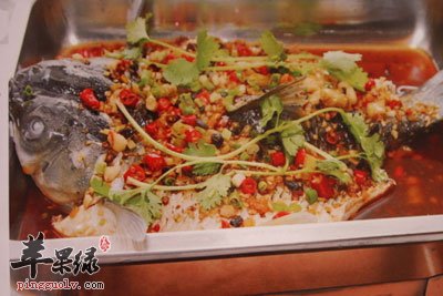 过江鱼