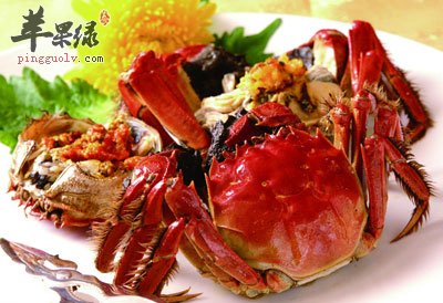 清蒸大闸蟹