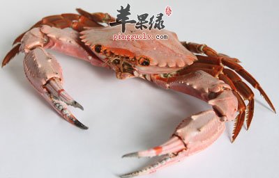 螃蟹