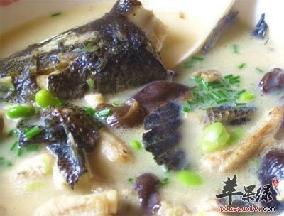 黑鱼汤.jpg