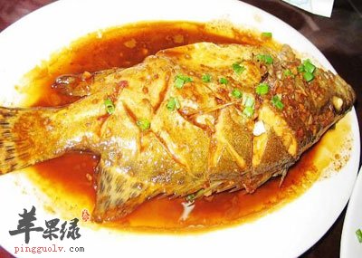臭桂鱼