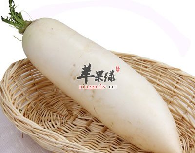 白萝卜