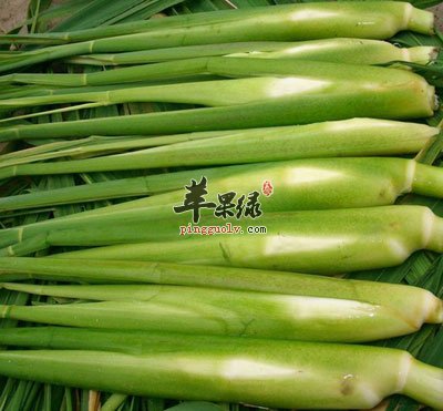 没剥皮的茭白