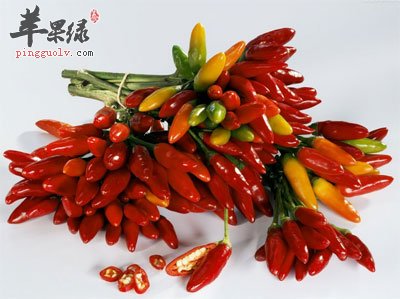 小尖椒.jpg