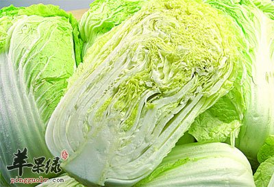 新鲜的白菜.jpg
