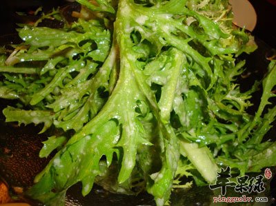 苦菊叶子