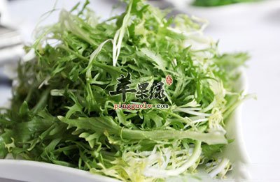 苦菊叶