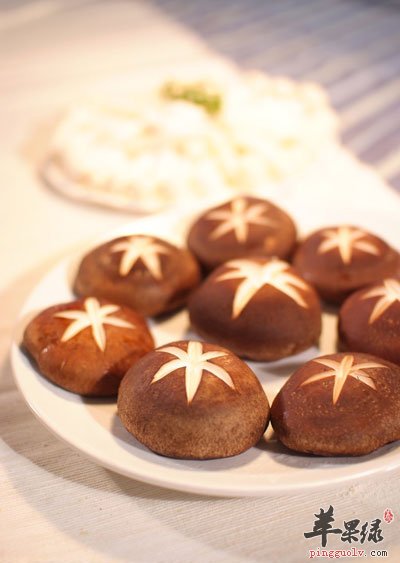 香菇照