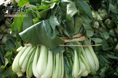 刚丰收的油菜.jpg