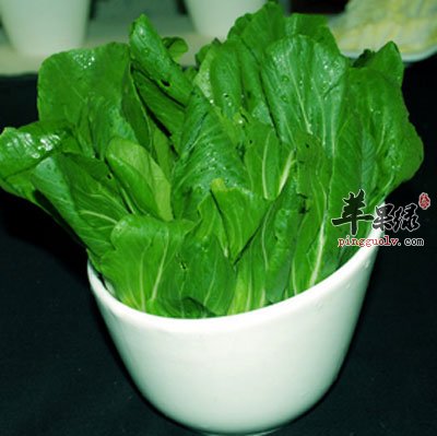 种在盆子里的油菜.jpg