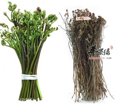 新鲜的与干的蕨菜.jpg