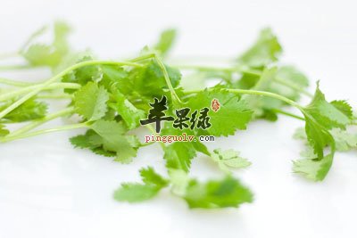 香菜叶子