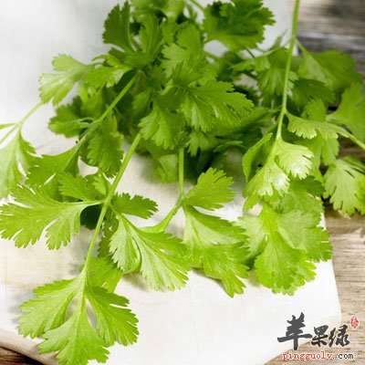 香菜叶