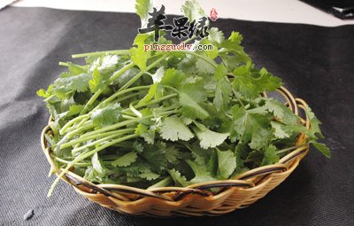 香菜