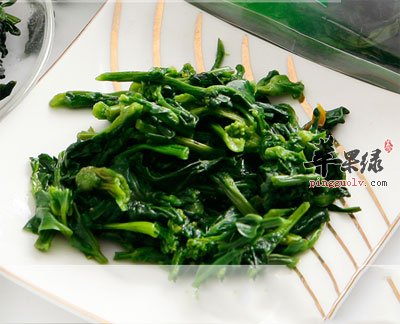 翠绿的橄榄菜