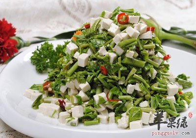 香椿拌豆腐