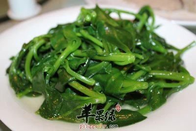 穿心莲菜