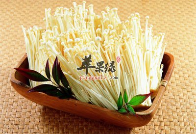 金针菇.jpg