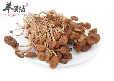 茶树菇.jpg