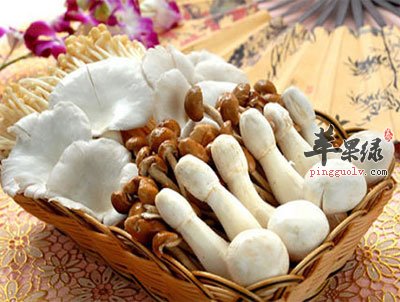蘑菇拼盘.jpg
