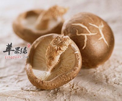 蘑菇有纹路.jpg