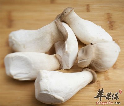 杏鲍菇
