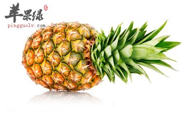 一个菠萝