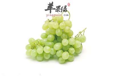 青葡萄