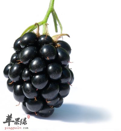 黑葡萄