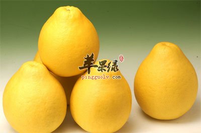 柚子排排站.jpg