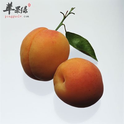 两颗杏