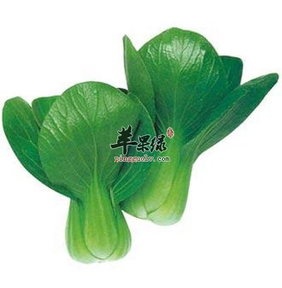 苏州青
