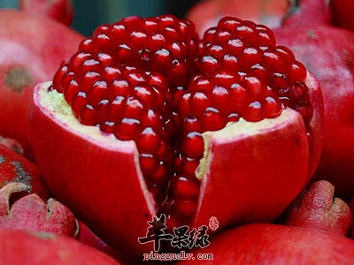 火红的石榴