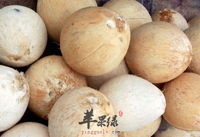 处理过的椰子.jpg