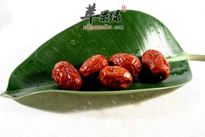 树叶上的枣