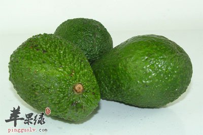 三个牛油果.jpg