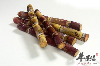 甘蔗中毒