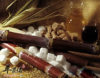 甘蔗艺术照