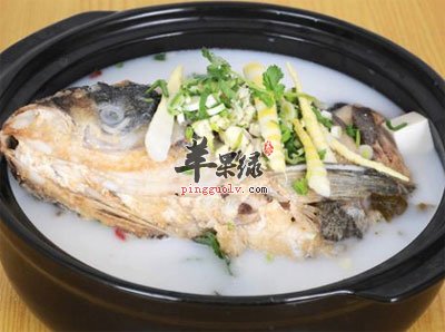 鲢鱼炖豆腐.jpg