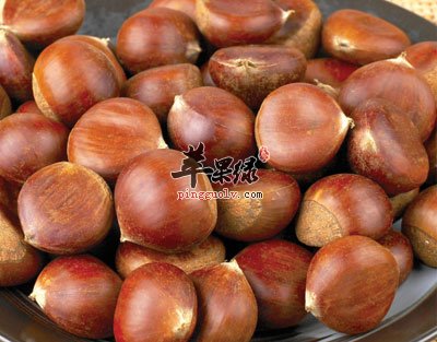 一堆栗子