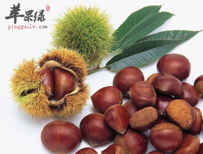 一大堆栗子