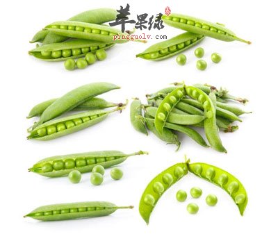 豌豆与豌豆粒.jpg