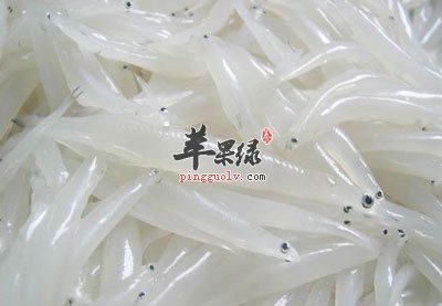 一大堆银鱼