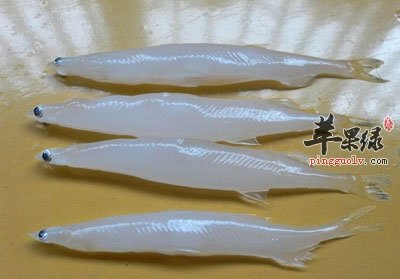 银鱼的营养价值