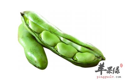 新鲜的蚕豆角.jpg